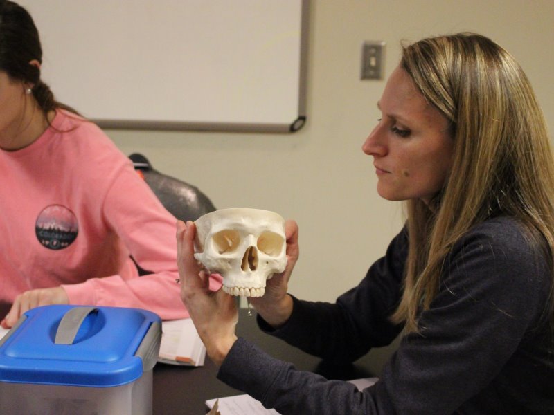 looking at human skull in lab