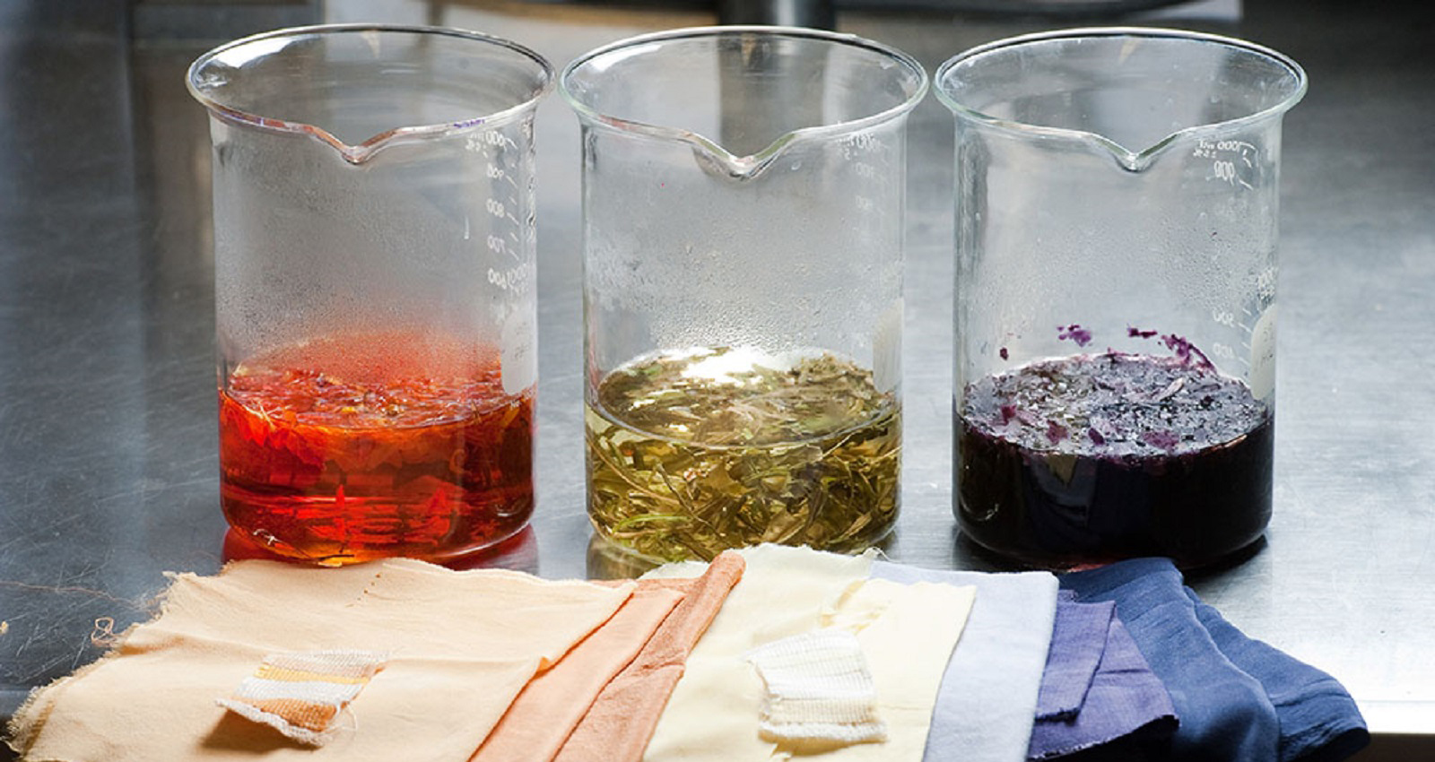 Large beakers with colored dyes