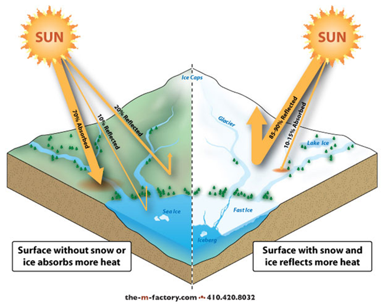 Graphic showing how the Albedo measurement of the reflective value of different surfaces on the earth