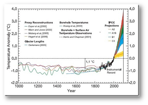 Graph showing the dramatic temperature changes over the last several decades
