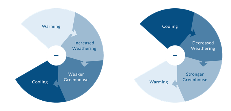 Graphic describing the negative feedback mechanism in the climate