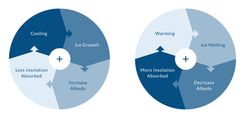 Graphic describing the positive feedback mechanism in the climate