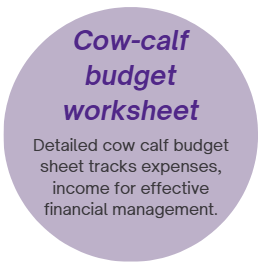 cow-calf budget worksheet