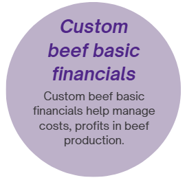 custom beef financials basics icon