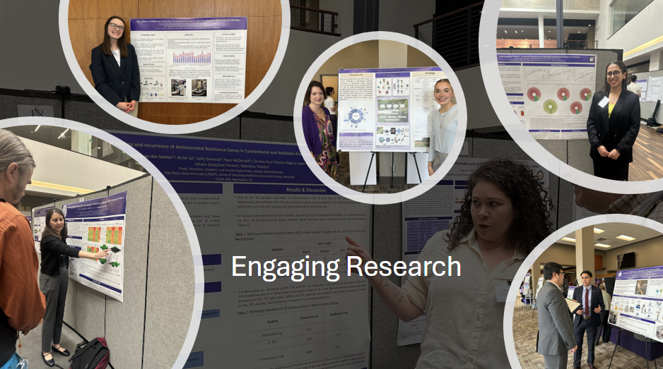 collage of pictures of presentations