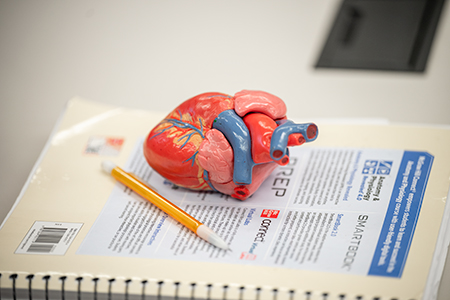 Heart model with notebook