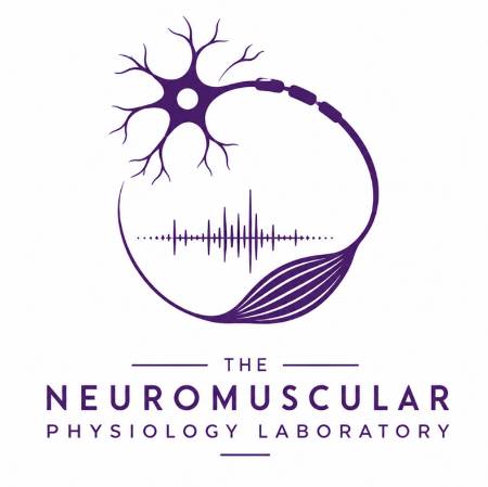 Graphic for the Neuromuscular Physiology lab with muscle and nerve representations