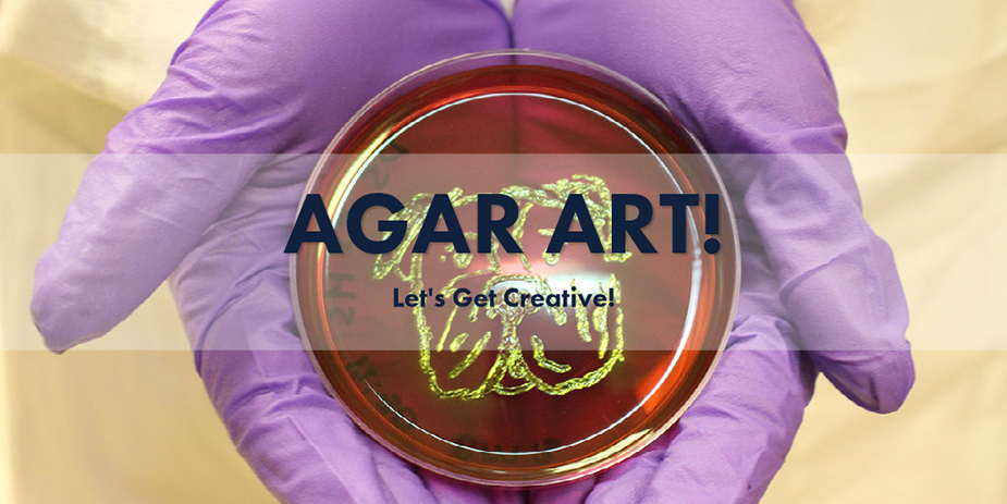 Agar Art!