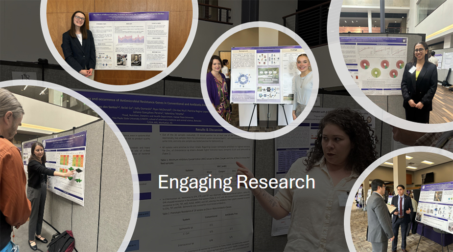 collage of pictures of presentations