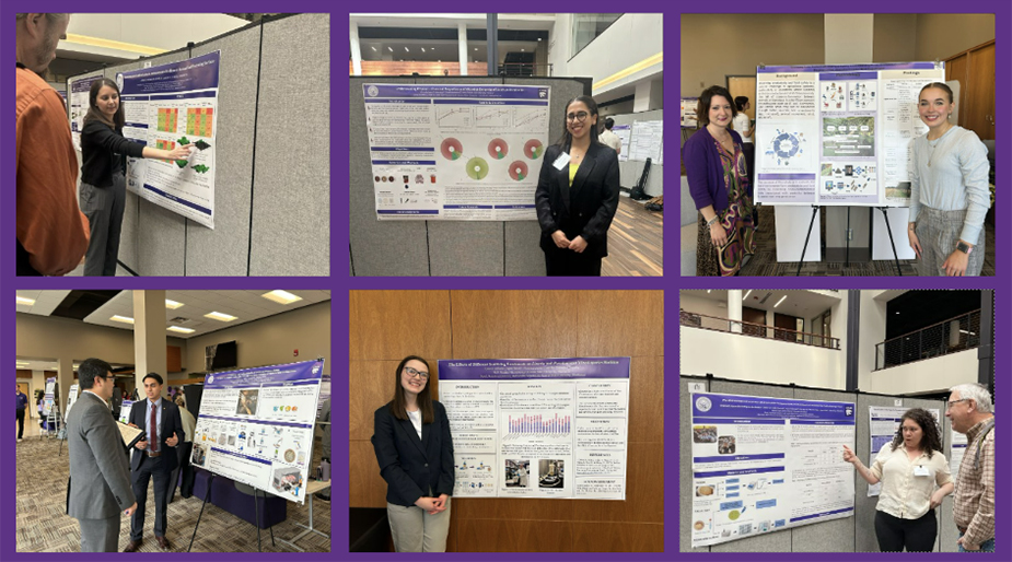 collage of pictures of people presenting research