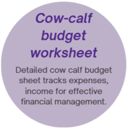 cow-calf budget worksheet