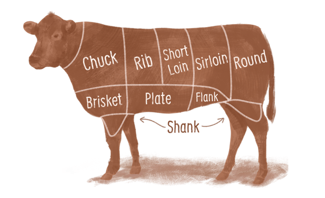 Beef cut diagram