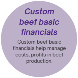 custom beef financials basics icon