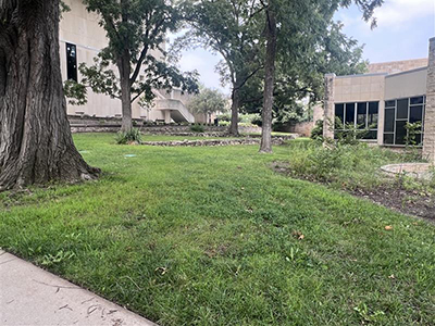 Landscape between Justin and Bluemont halls