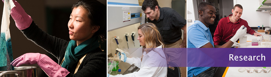 College of Human Ecology Research