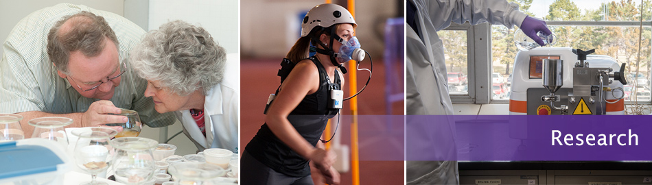 College of Human Ecology Research