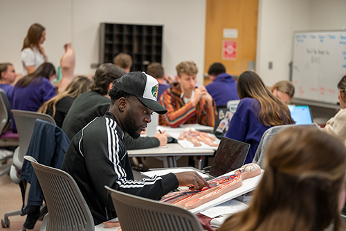 Students in anatomy and physiology class