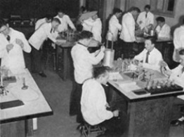 Scientists in Lab