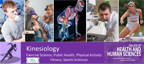 Kinesiology collage image