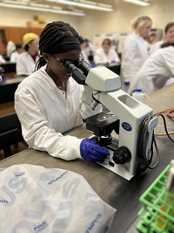 Camper on microscope